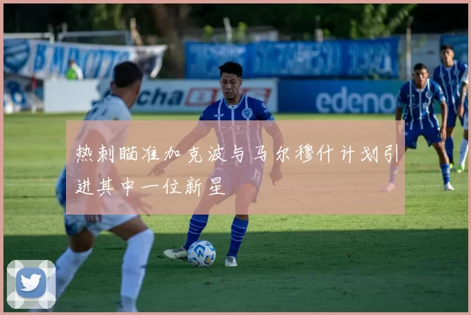 热刺瞄准加克波与马尔穆什计划引进其中一位新星